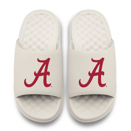Alabama Crimson Tide Primary Motive