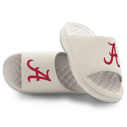 Alabama Crimson Tide Primary Motive