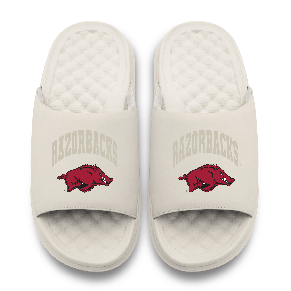 Arkansas Razorbacks Tonal Pop Motive