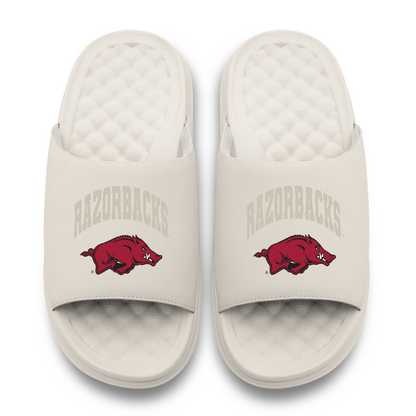Arkansas Razorbacks Tonal Pop Motive