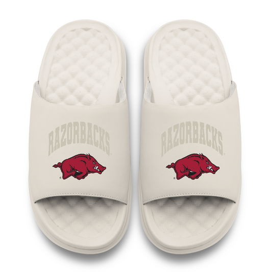 Arkansas Razorbacks Tonal Pop Motive