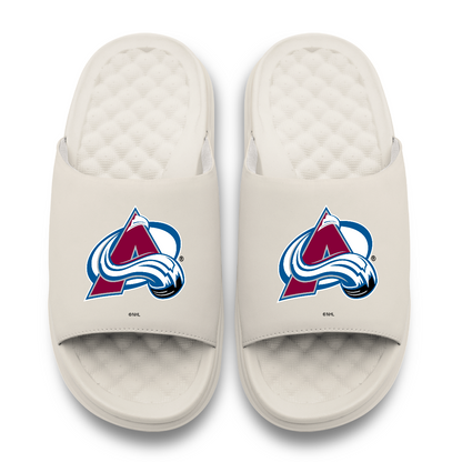 Colorado Avalanche Primary Motive
