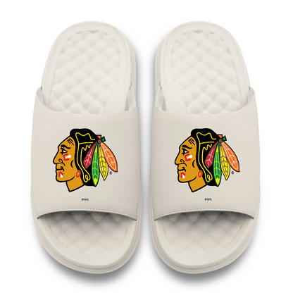 Chicago Blackhawks Primary Motive
