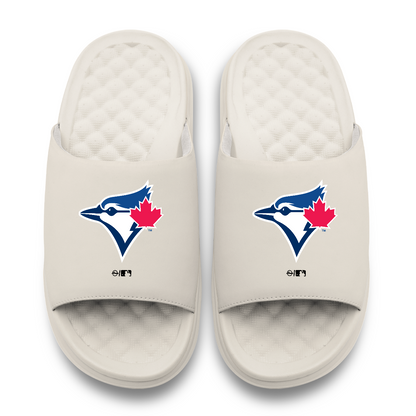 Toronto Blue Jays Primary Motive