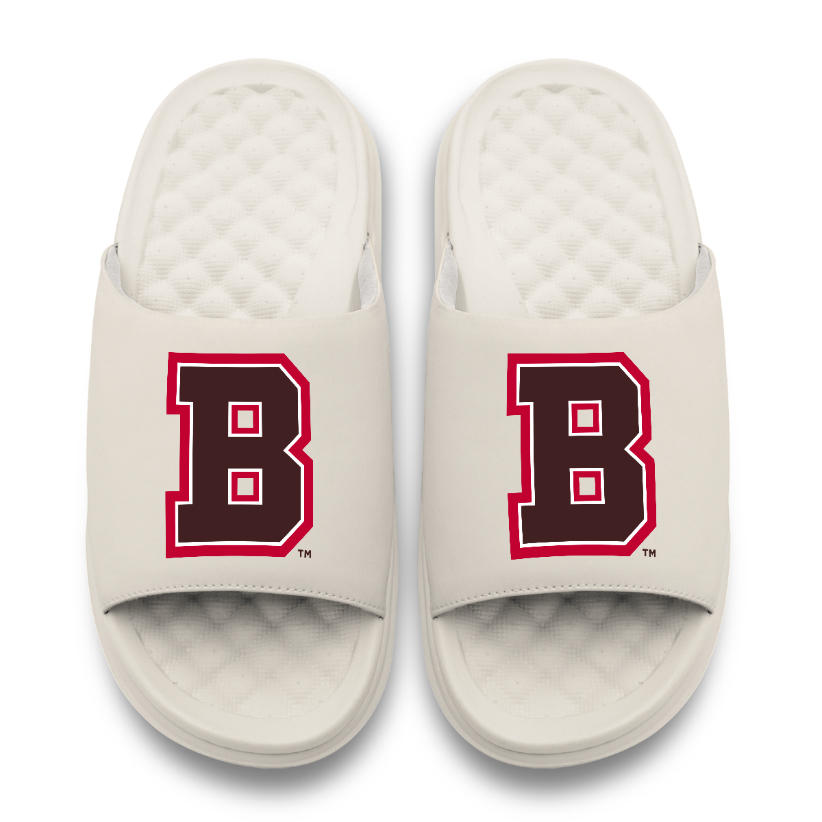 Brown Bears Primary Motive