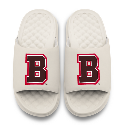 Brown Bears Primary Motive