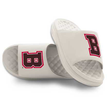 Brown Bears Primary Motive