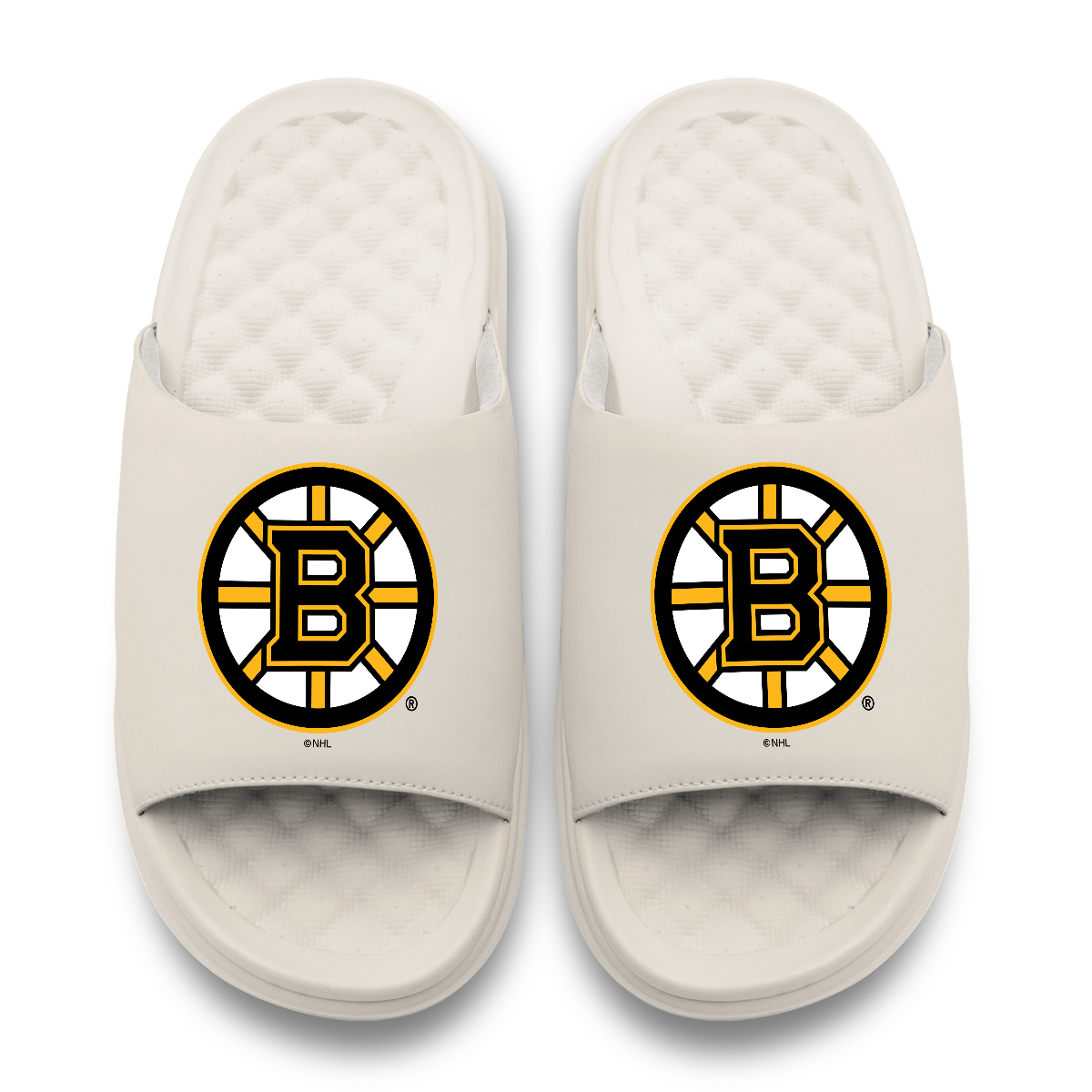 Boston Bruins Primary Motive