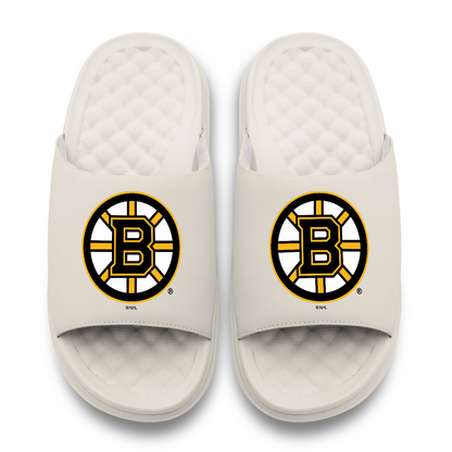 Boston Bruins Primary Motive