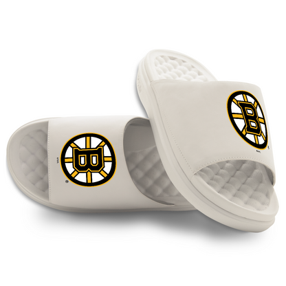 Boston Bruins Primary Motive