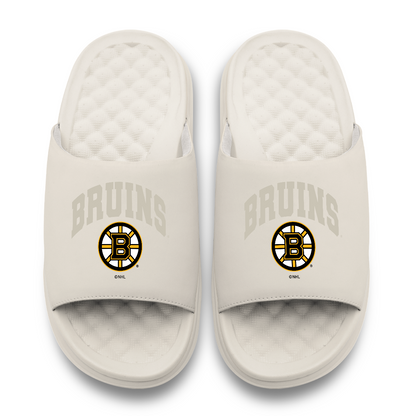Boston Bruins Tonal Pop Motive