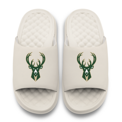 Milwaukee Bucks Primary Motive