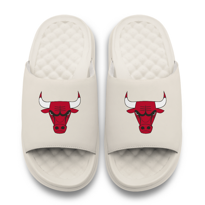 Chicago Bulls Primary Motive