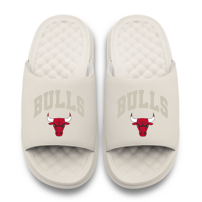 Chicago Bulls Tonal Pop Motive