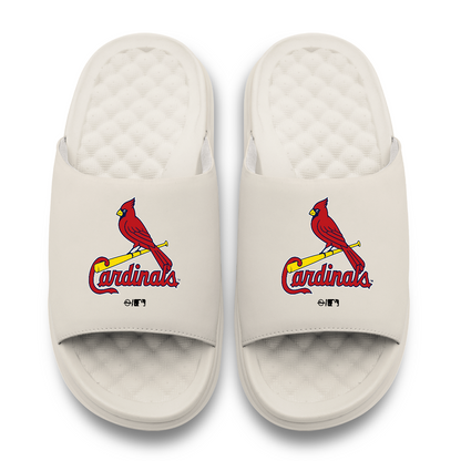 St Louis Cardinals Primary Motive