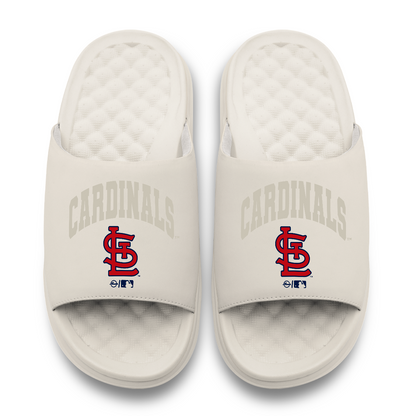 St Louis Cardinals Tonal Pop Motive