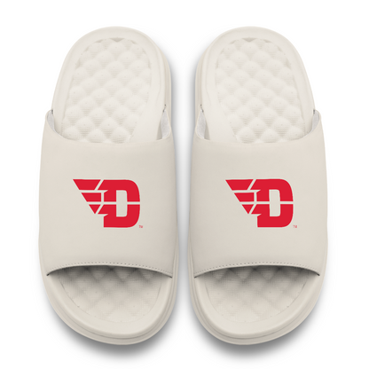 Dayton Flyers Primary Motive