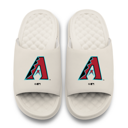 Arizona Diamondbacks Primary Motive