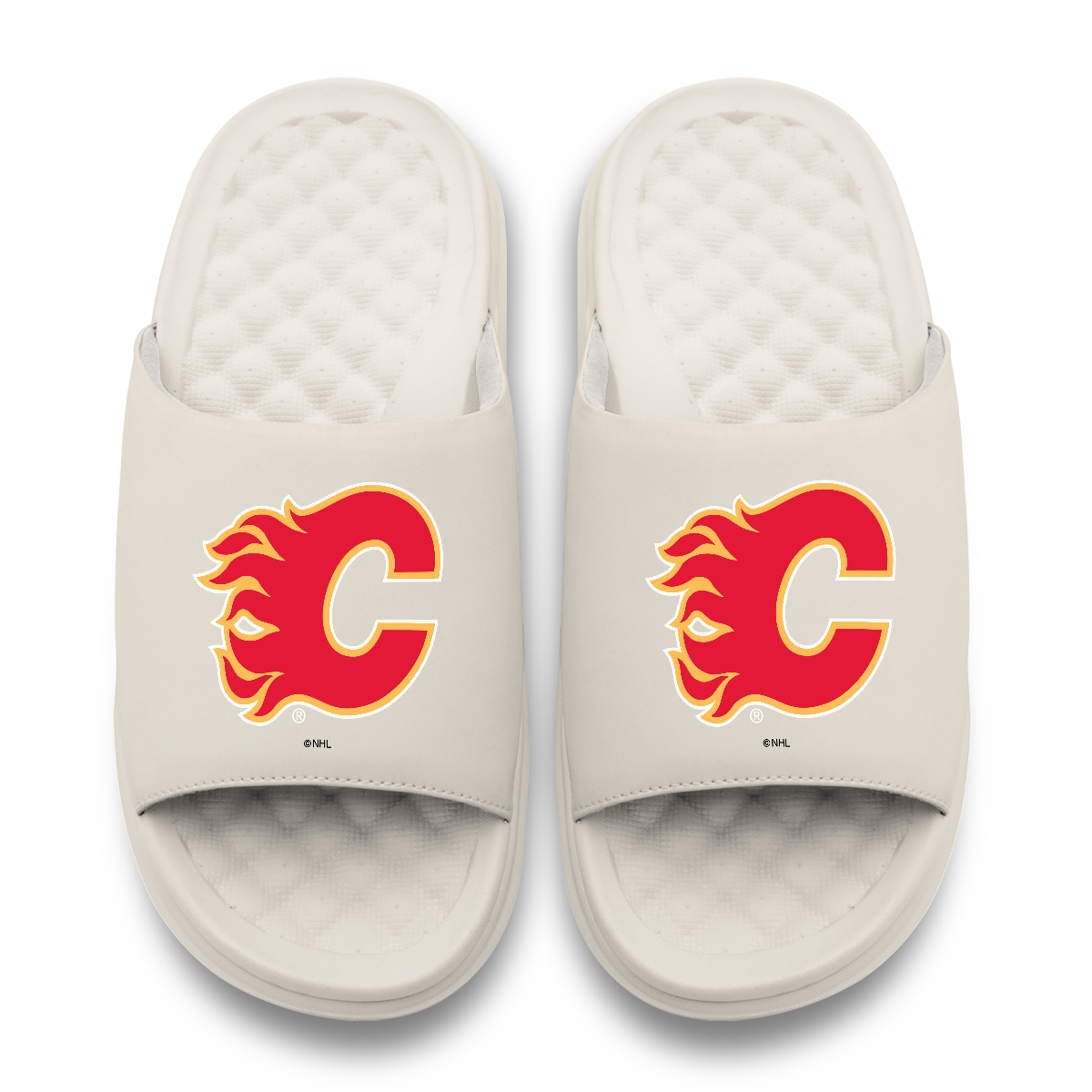 Calgary Flames Primary Motive