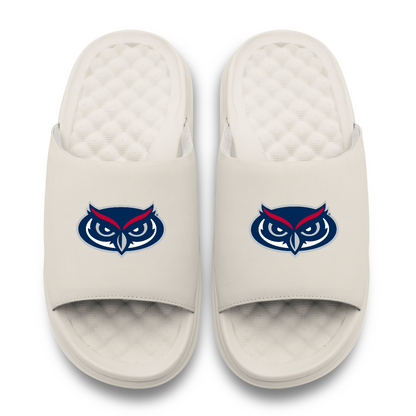 Florida Atlantic Owls Primary Motive