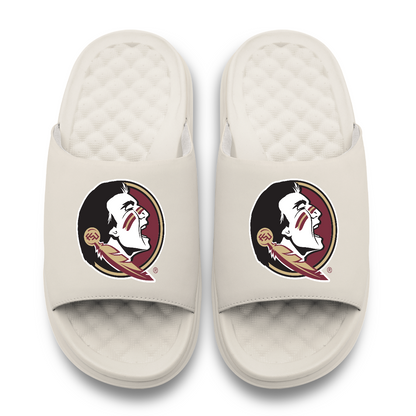 Florida State Seminoles Primary Motive