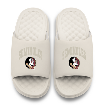 Florida State Seminoles Tonal Pop Motive