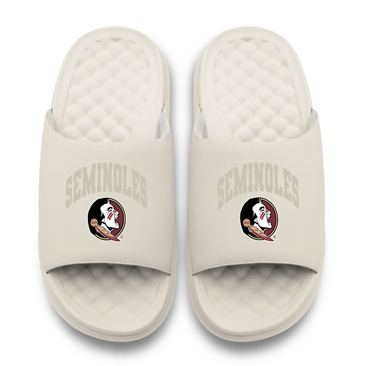 Florida State Seminoles Tonal Pop Motive