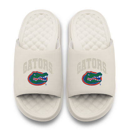 Florida Gators Tonal Pop Motive