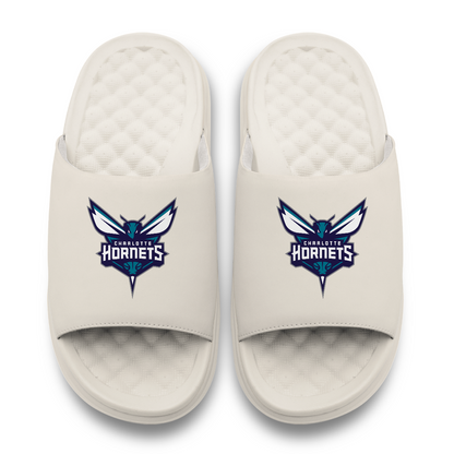 Charlotte Hornets Primary Motive