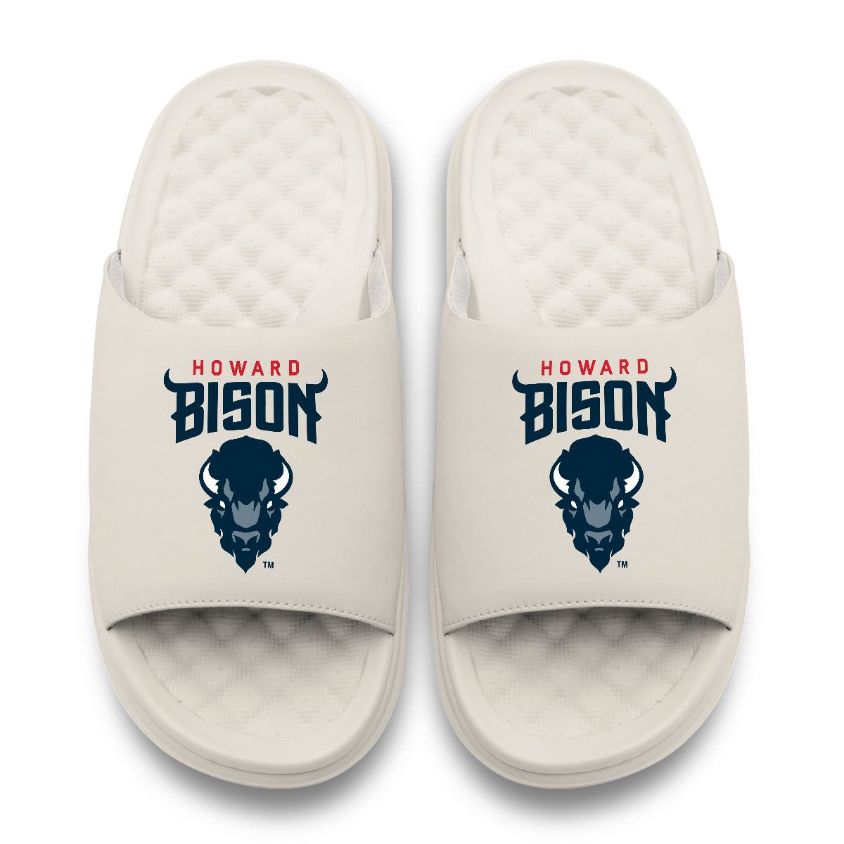 Howard Bison Primary Motive