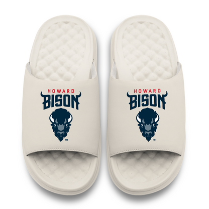 Howard Bison Primary Motive