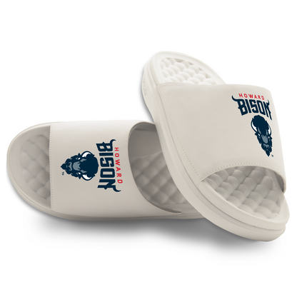 Howard Bison Primary Motive