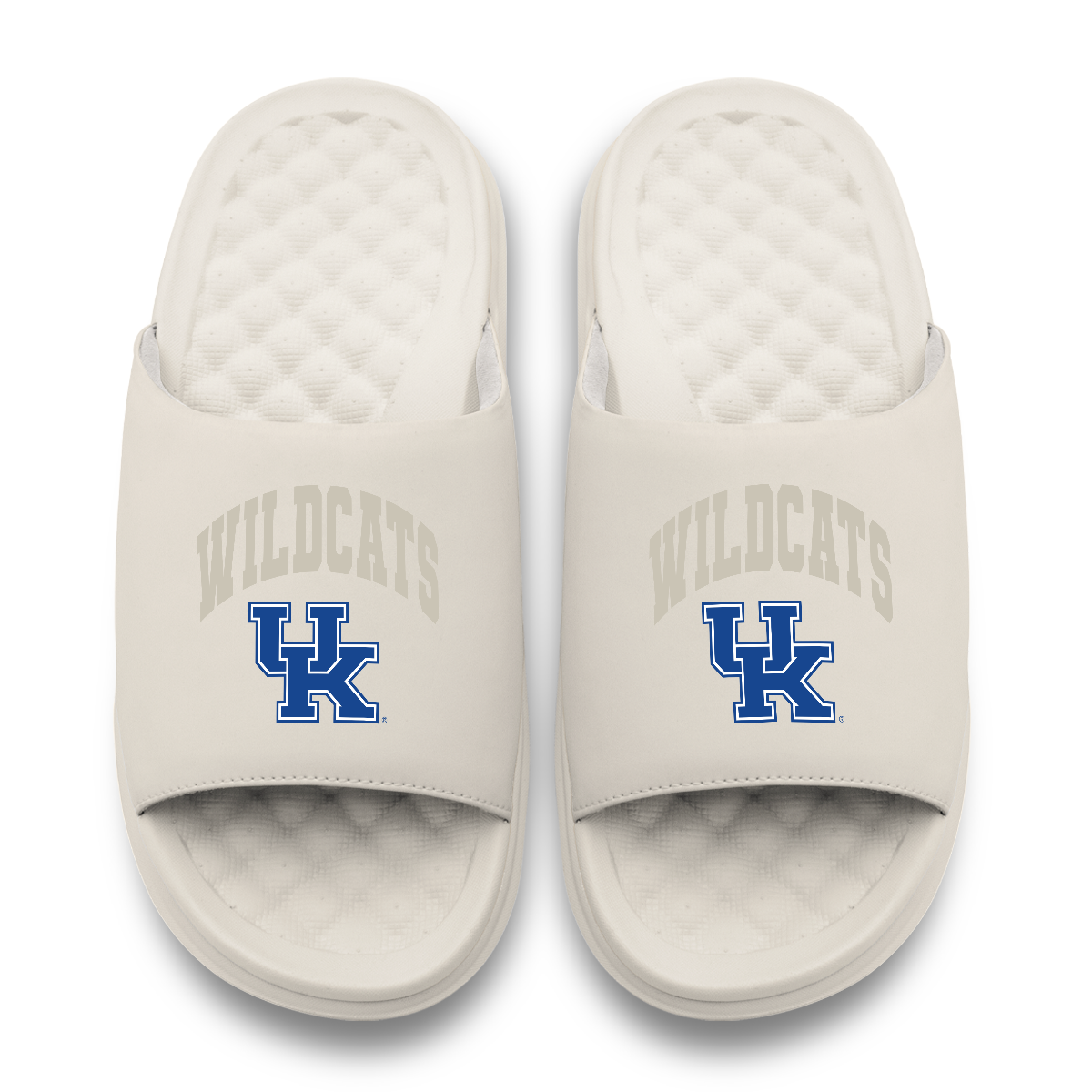 Kentucky Wildcats Tonal Pop Motive