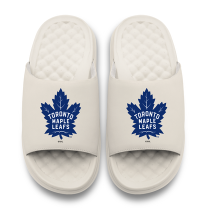 Toronto Maple Leafs Primary Motive