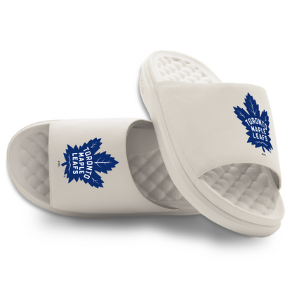Toronto Maple Leafs Primary Motive