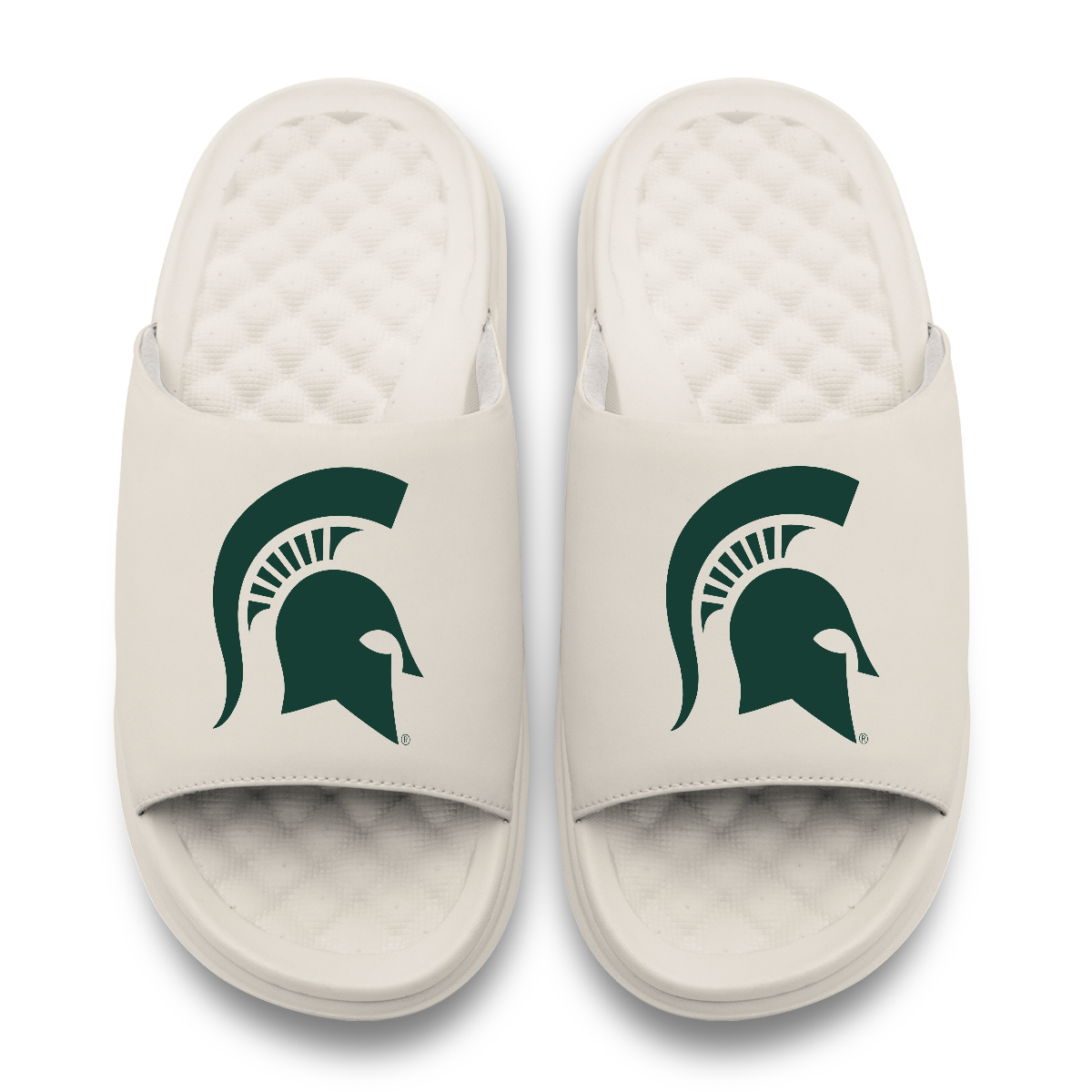 Michigan State Spartans Primary Motive