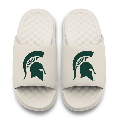 Michigan State Spartans Primary Motive