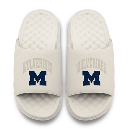 Michigan Wolverines Tonal Pop Motive