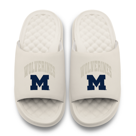 Michigan Wolverines Tonal Pop Motive
