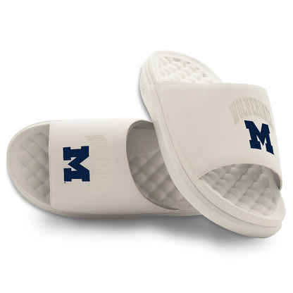 Michigan Wolverines Tonal Pop Motive