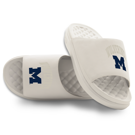 Michigan Wolverines Tonal Pop Motive