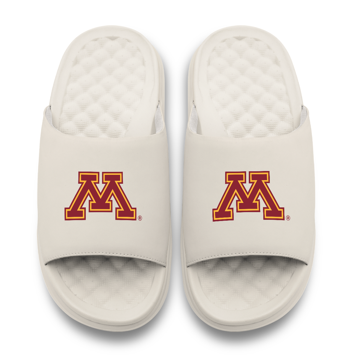 Minnesota Golden Gophers Primary Motive