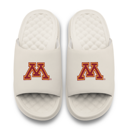 Minnesota Golden Gophers Primary Motive