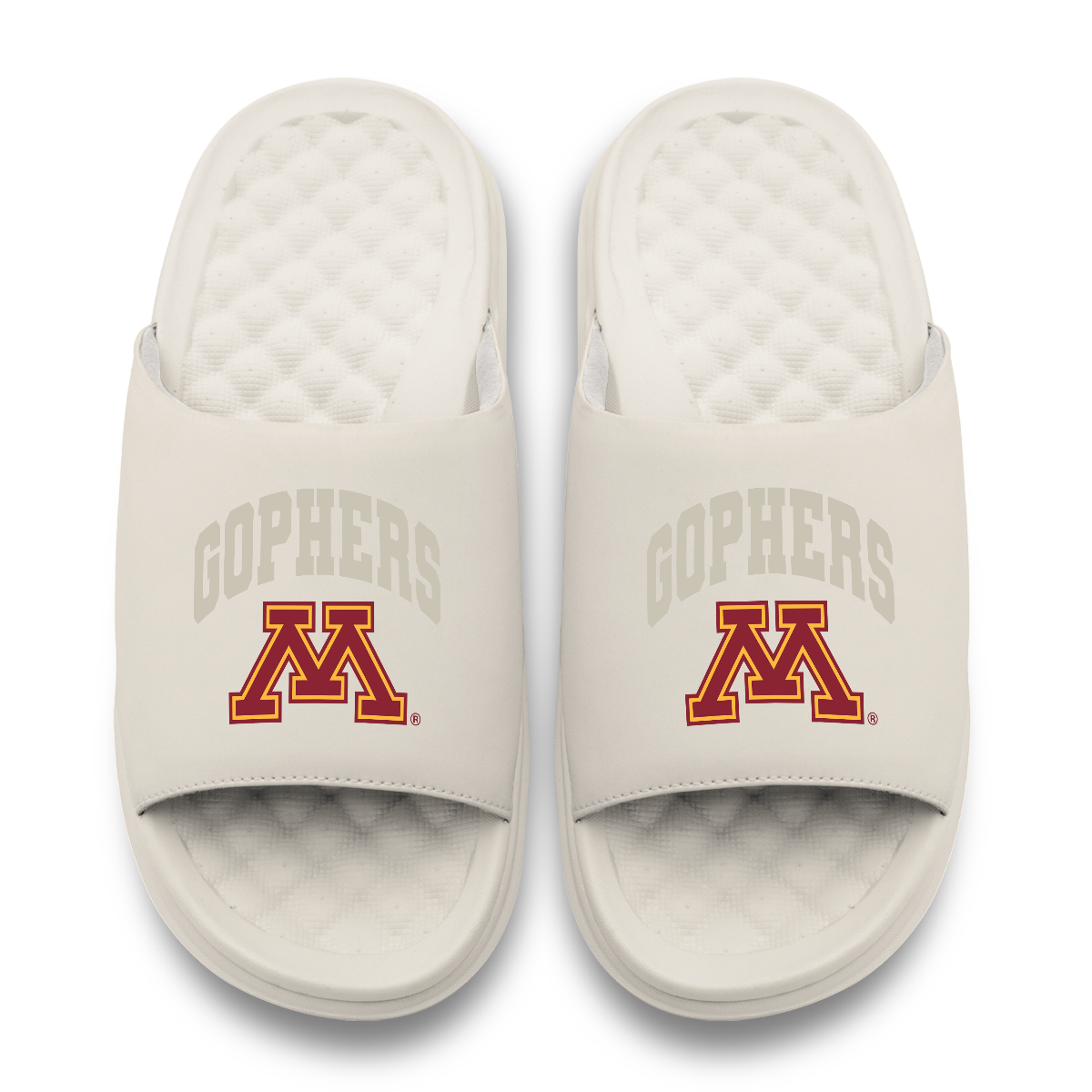 Minnesota Golden Gophers Tonal Pop Motive