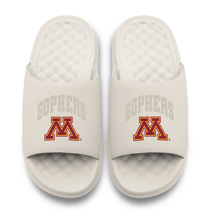 Minnesota Golden Gophers Tonal Pop Motive