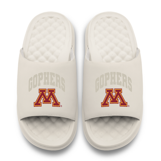 Minnesota Golden Gophers Tonal Pop Motive