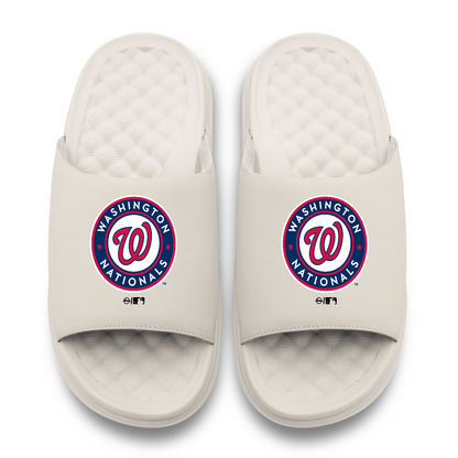 Washington Nationals Primary Motive