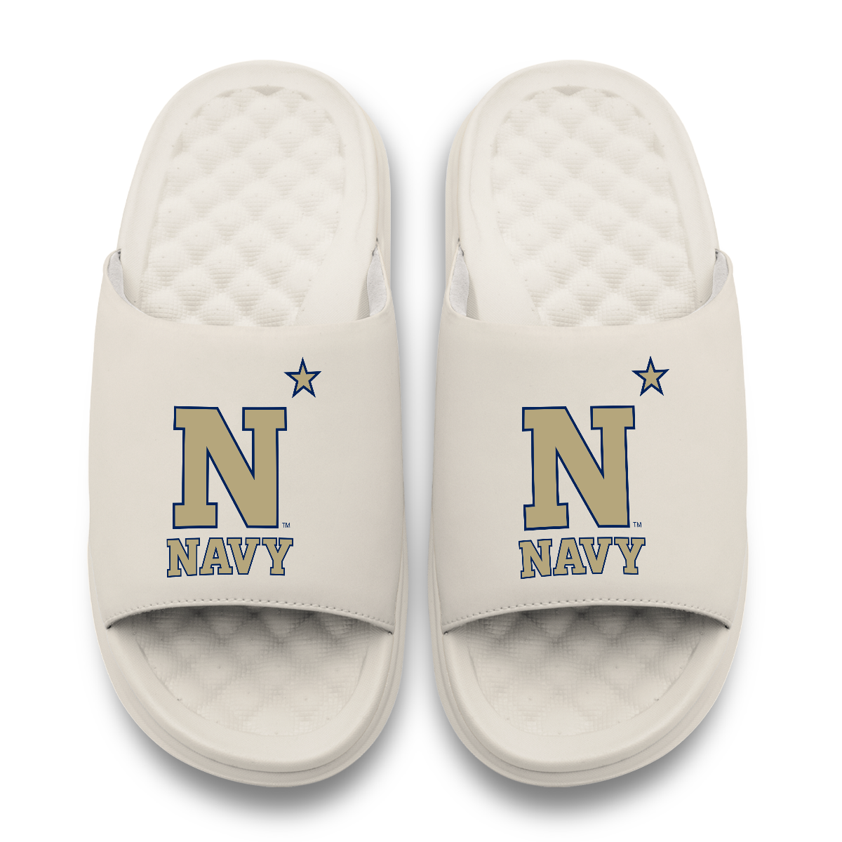 Navy Midshipmen Primary Motive