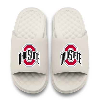 Ohio State Buckeyes Primary Motive