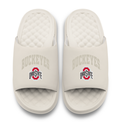 Ohio State Buckeyes Tonal Pop Motive